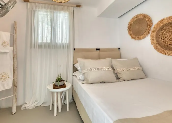 Amalgam Homes Paros Beachfront