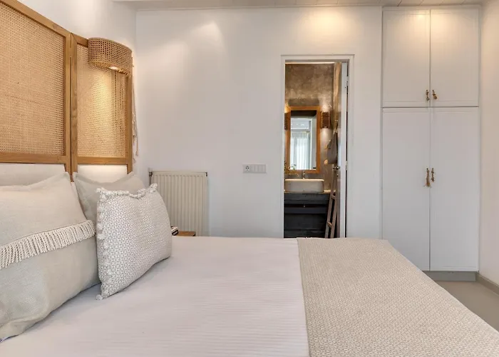 别墅 Amalgam Homes Paros Beachfront 安倍拉斯